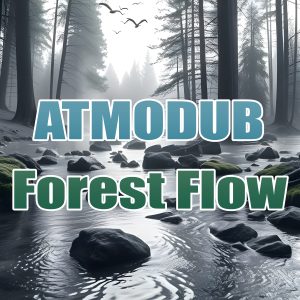 Forest Flow