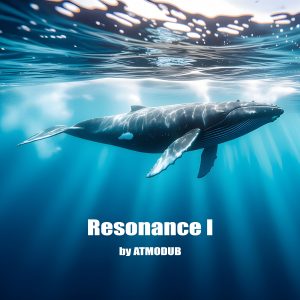 Resonance I